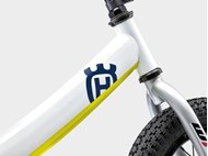 Picture of TRAINING BIKE